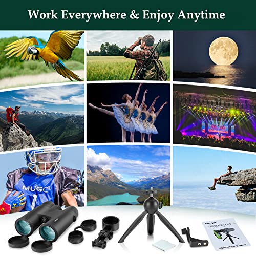12x42 HD Binoculars with Phone Adapter and Tripod V251
