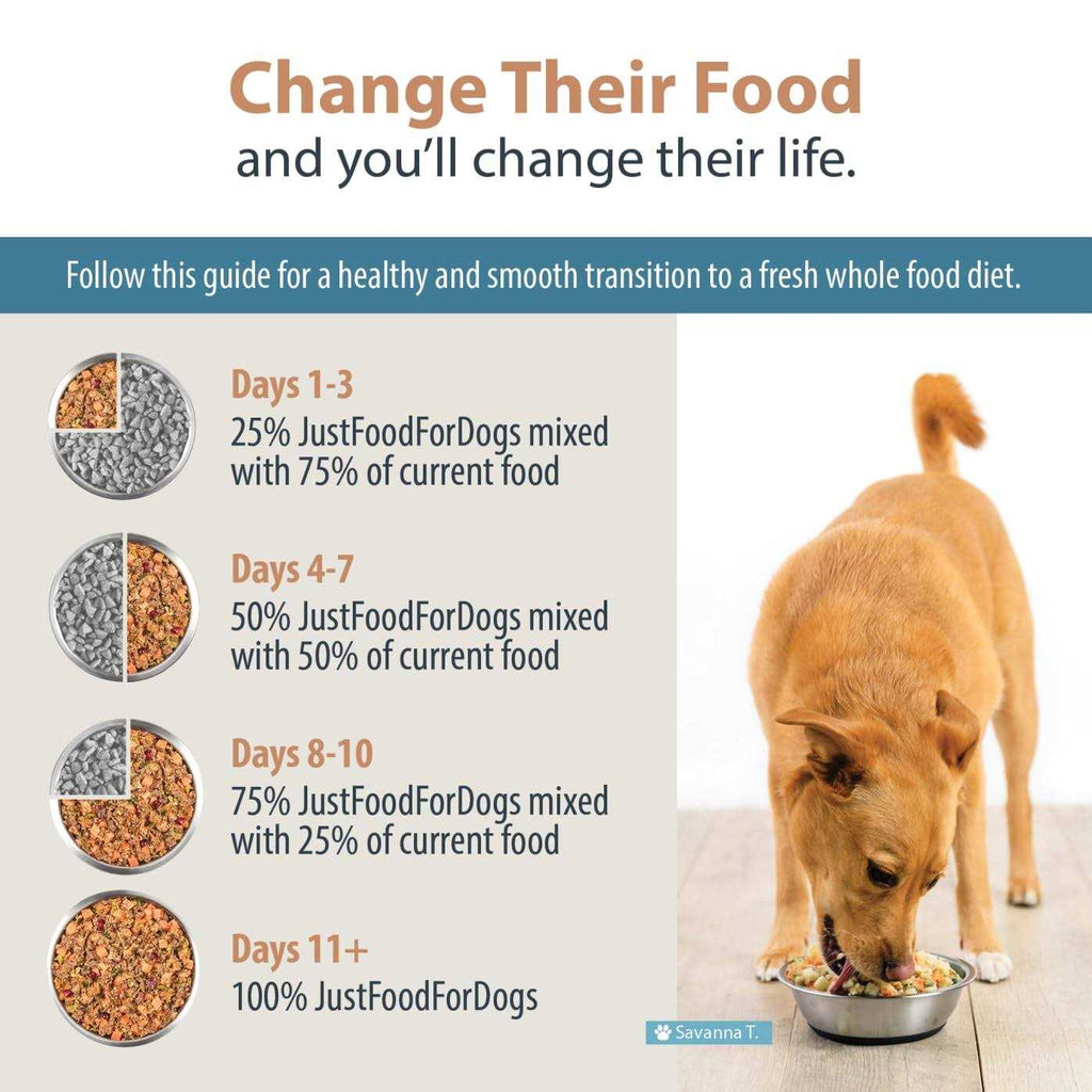 Frozen Fresh Dog Food Z31113