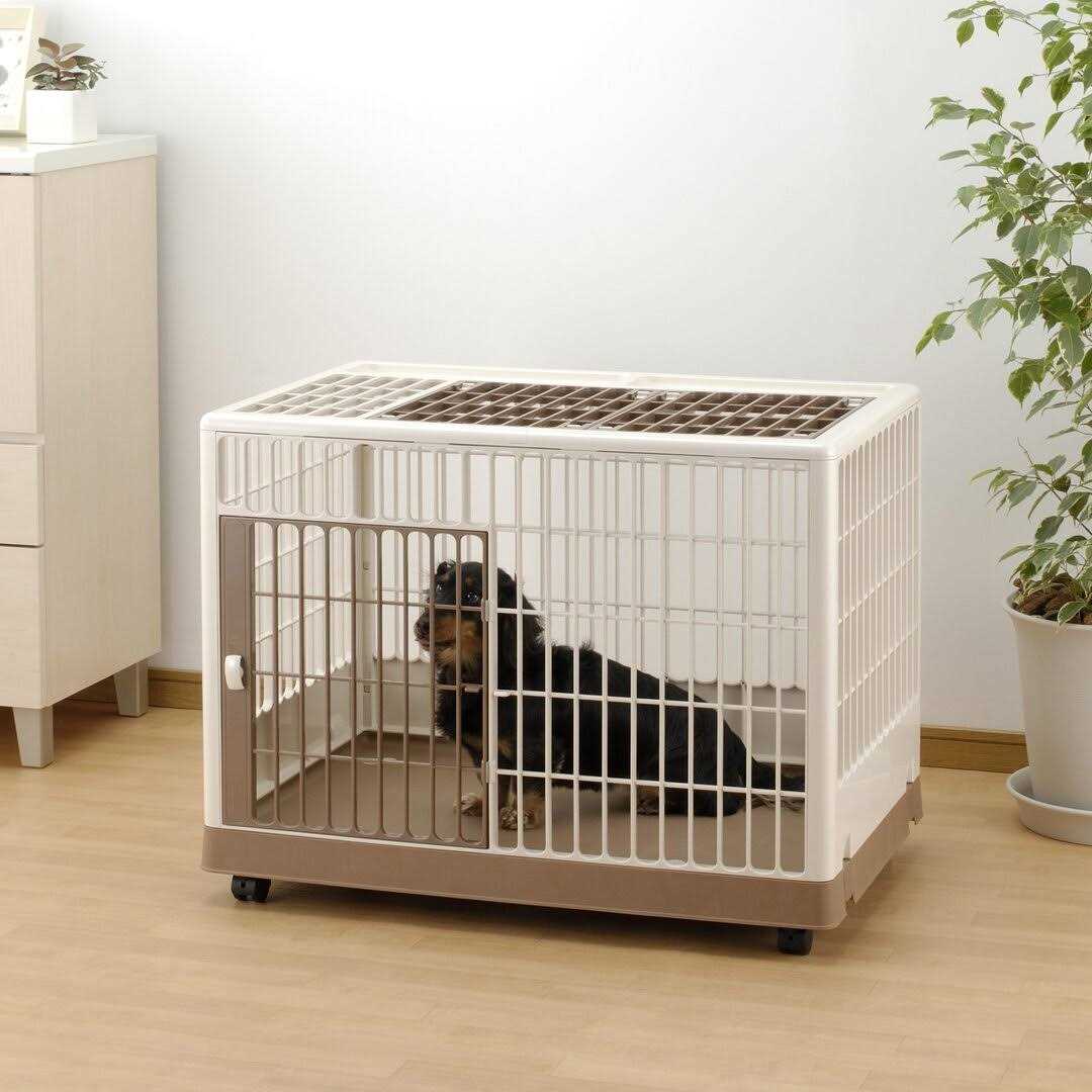 Pet Training Kennel C804