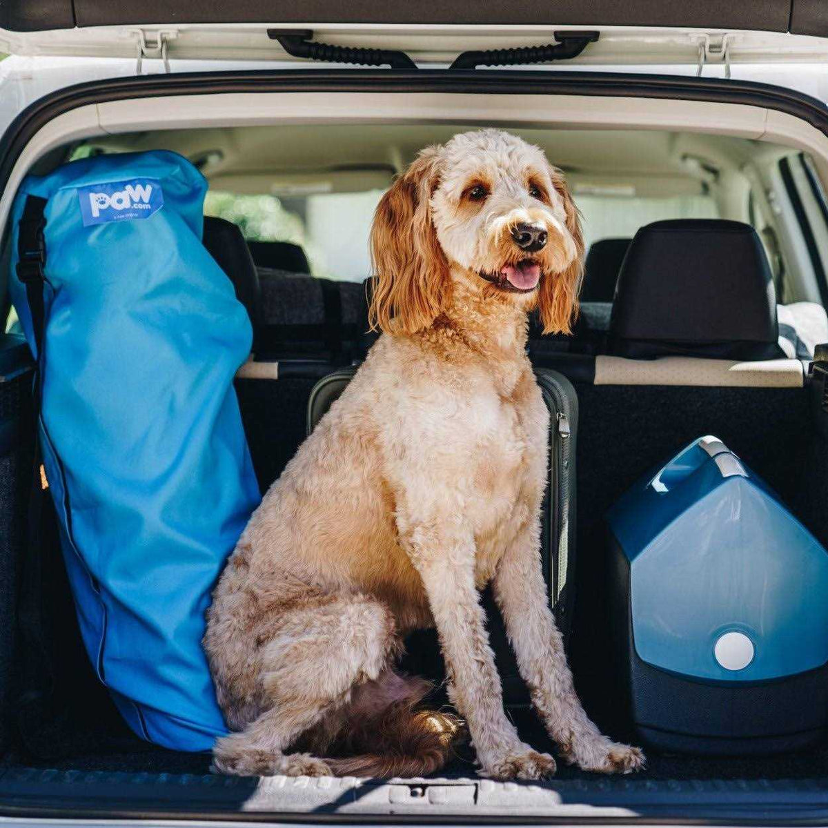 Portable Orthopedic Dog Bed I28015
