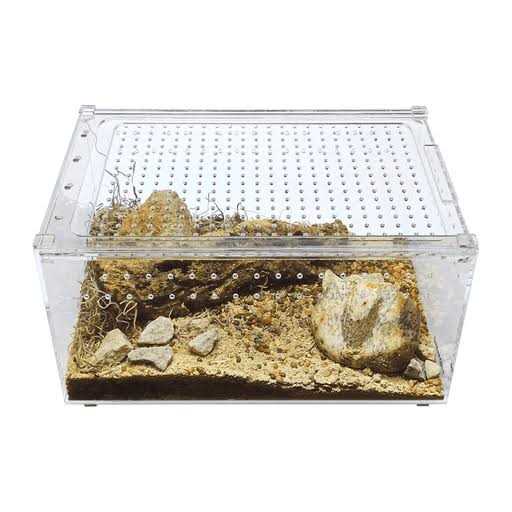 Acrylic Insect & Reptile Terrarium Z12307