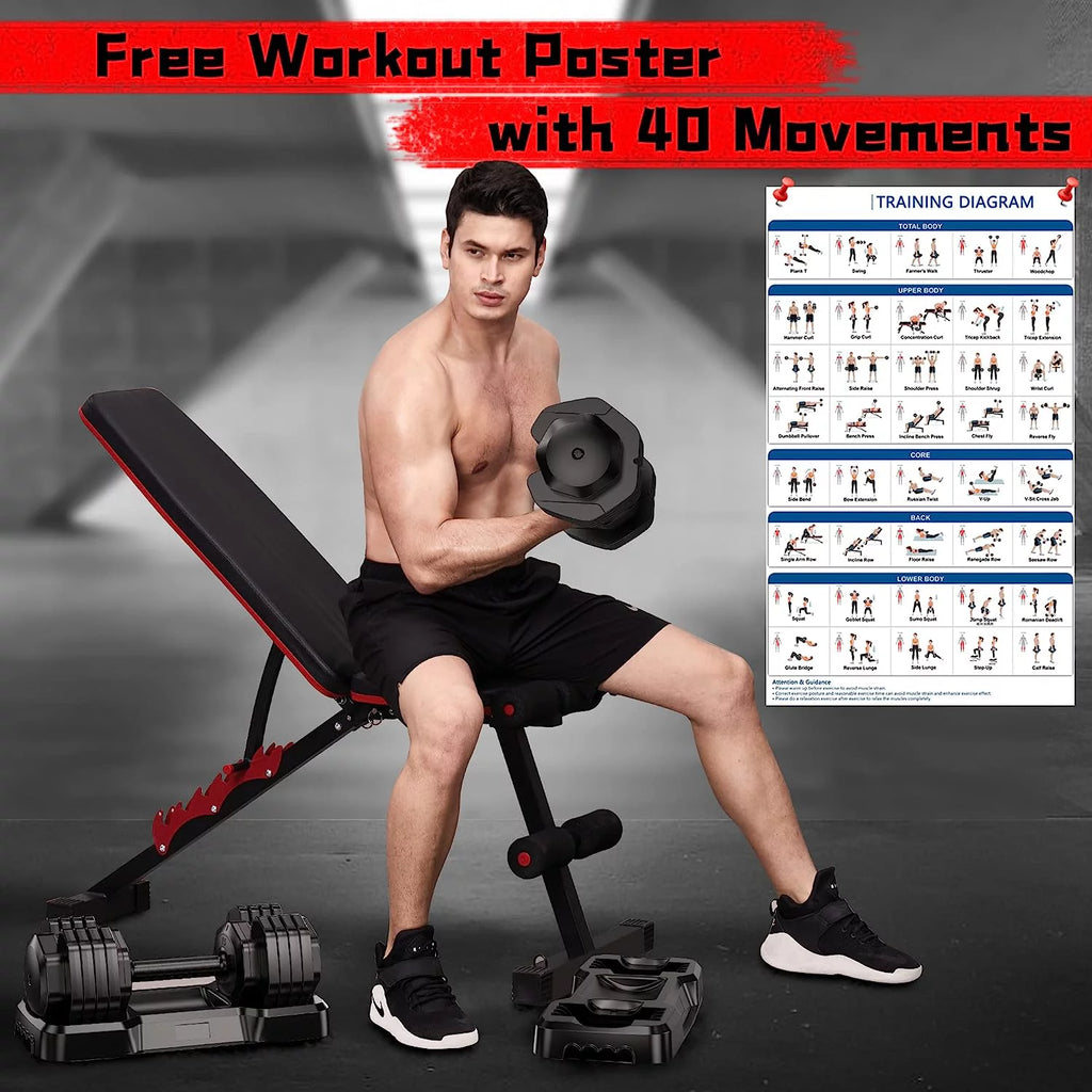 Adjustable 55lb Dumbbell with Metal Handle and Tray C8736