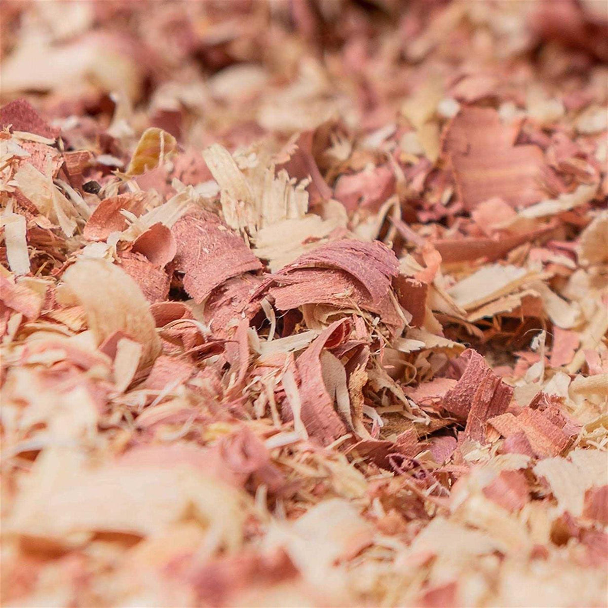 Red Cedar Bedding A586305