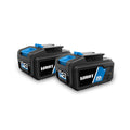 2-Pack 20 Volts 4.0Ah Lithium-Ion Batteries E592926