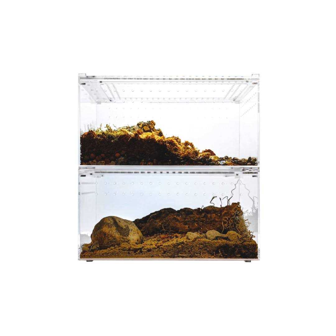 Acrylic Insect & Reptile Terrarium Z12307