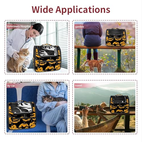 Soft Sided Pet Carrier for Small Medium Cats Dogs O705058