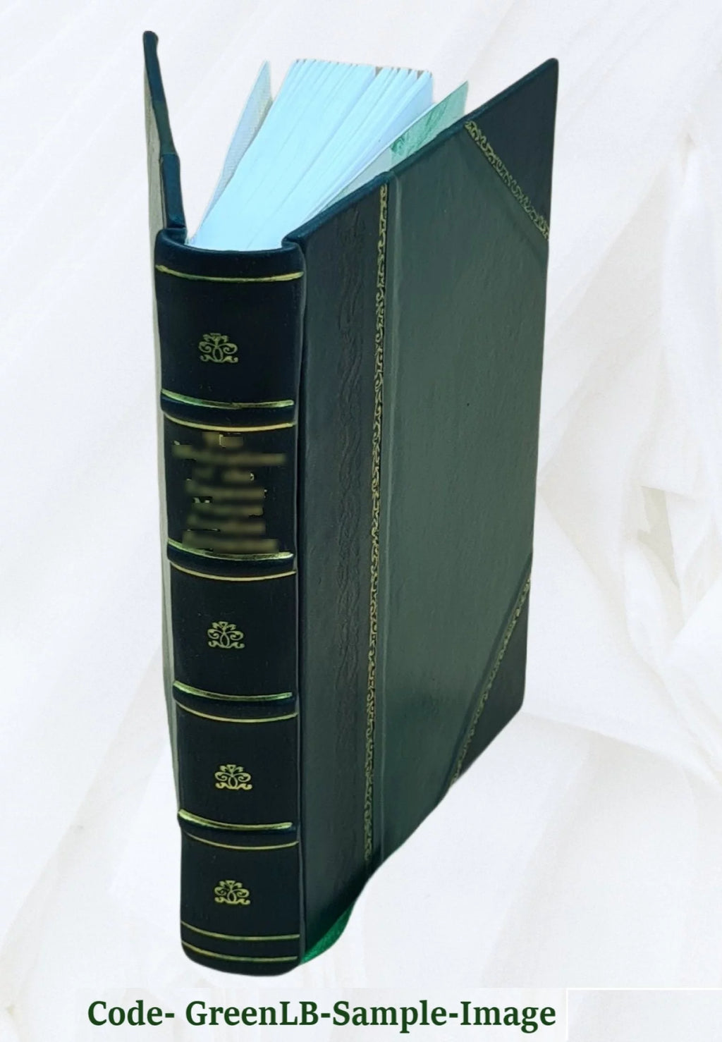 First settlers of ye plantations of Piscataway and Woodbridge, olde East New Jersey, 1664-1714, a period of fifty years F364