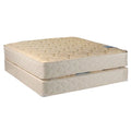 Queen 60x80x9 Foam Mattress Set with Bed Frame Y290380