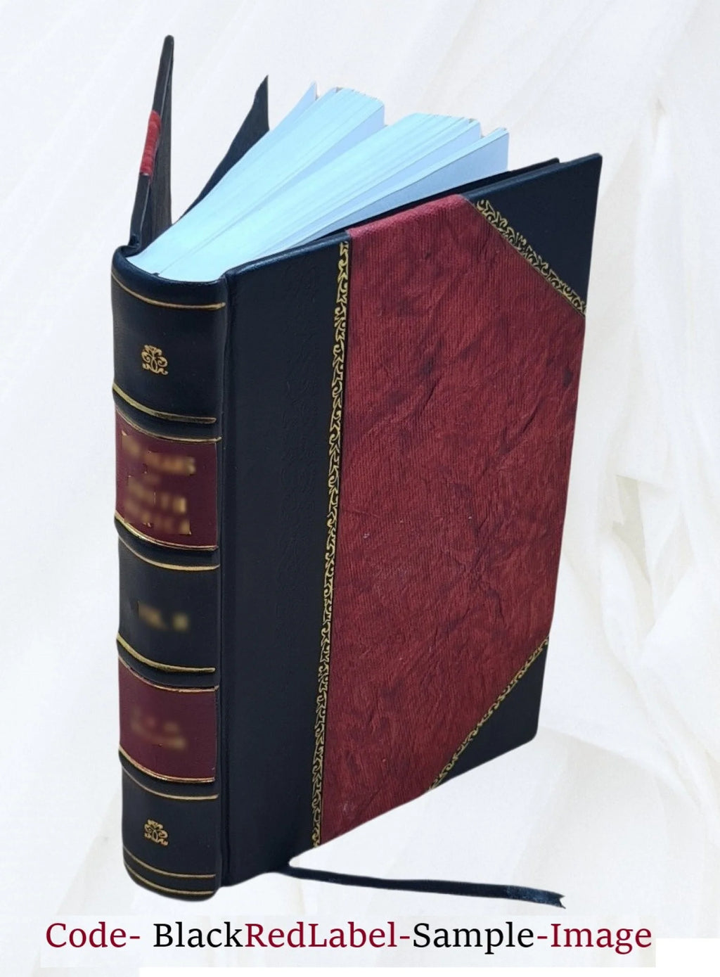 First settlers of ye plantations of Piscataway and Woodbridge, olde East New Jersey, 1664-1714, a period of fifty years F364